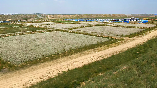 67381����-��Ϸ�ٷ���վ